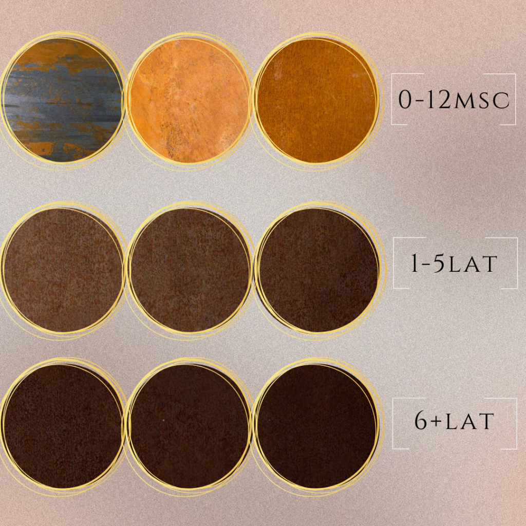 RollSteel - hurtownia stali nierdzewnej | Stal Corten RollSteel - hurtownia stali nierdzewnej | Stal Corten